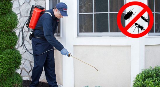 Süleymanpaşa Akrep İlaçlama böcek ilaçlama ve haşere kontrolü — ilaclama-tr.com
